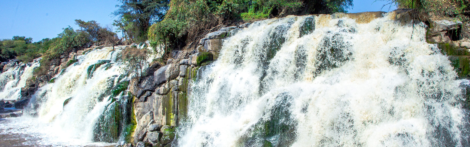  Awash National Park Tour ETHN02